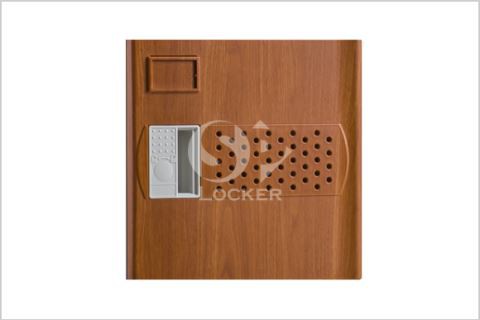 ABS-mini-door-color-wood-480x320